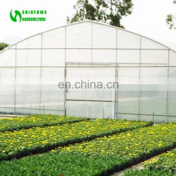 2019 China Plant Growing Plastic Film Tunnel Greenhouse