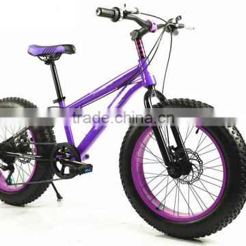 beach Cruiser Snow Bike carbon fat bike frame Fat bike M-TB9801
