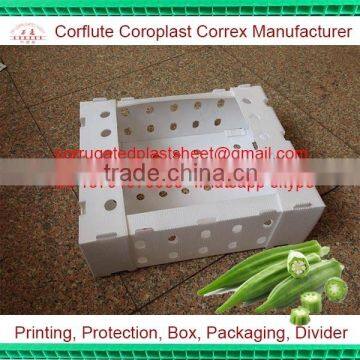 5kg pp corrugated plastic okra packing box