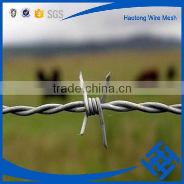 galvanized double barbed wire price