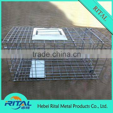 Galvanized Raccoon Cage Traps for Raccoon Trapping