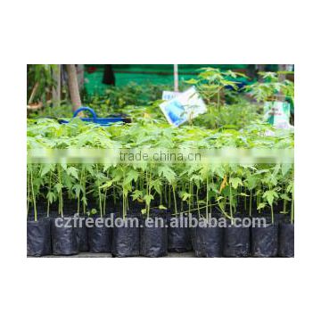breathable planting bag