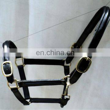 FANCY LEATHER HALTER WITH BRASS FITTING