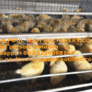 Oman Chicken Farm H Type Automatic Chicks Cage & Pullet Cage in Brooding Room with Poultry Climate Control