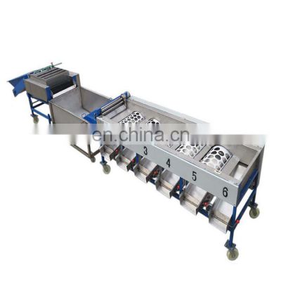 Fruit and Vegetable Washing waxing drying and grading machine and sorting line