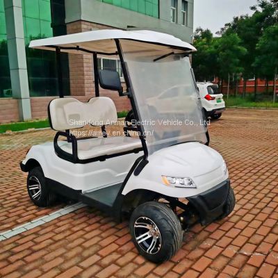 2-seater electric golf cart made in China