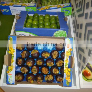 Fruit and Vegetable Display Tray