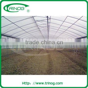 Vegetable Greenhouse for sale