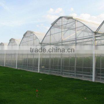 Professional Hydroponic Greenhouse for Plant Factory and Soilles Growing Systems