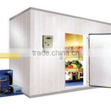 2014 Hot sale classic cold storage cold room cooling system (TCR40)