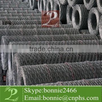 galvanized Chain link fence(factory & trader)
