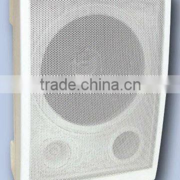 6.5Inch 100v Wall Speaker ( YWS-6507T )