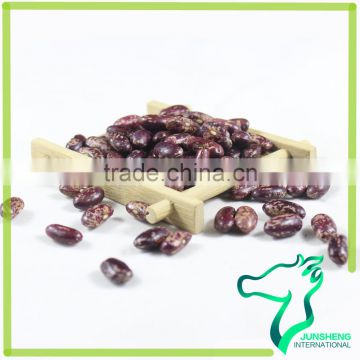 Purple Speckled Kidney Beans 220-240Pcs/100G