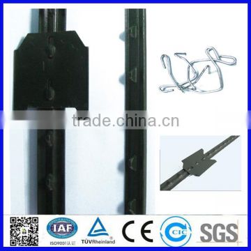 6ft length high quality plain carbon steel t post for sale