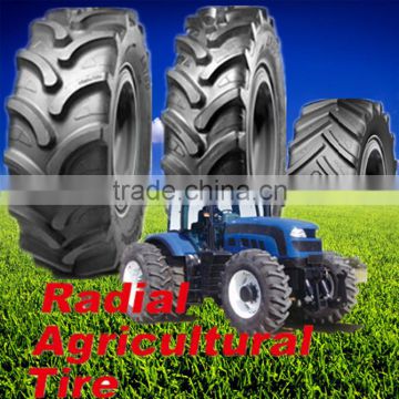 agricultural radial tire