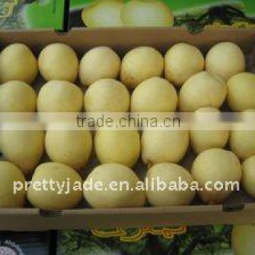 chinese new fresh ya pear