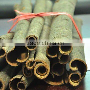 Cassia tube