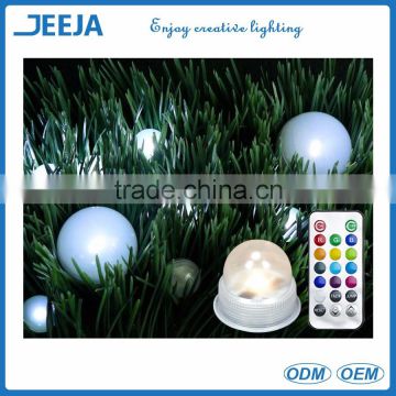 Remote Controlled 1 Inch Led Acorn Light For Outdoor Decoration
