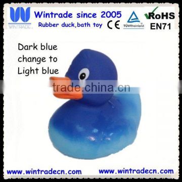 New blue color changing duck