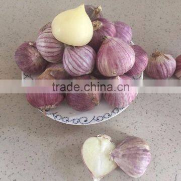 YUYUAN brand hot sail fresh garlic garlic cleaning machine