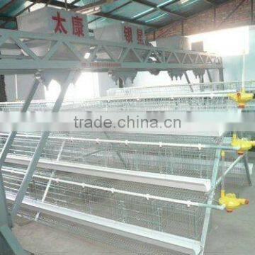 metal chicken house for poultry farm