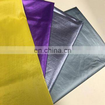 Waterproof Crepe Nylon Taffeta Fabric with Foil Printing for Down Coat