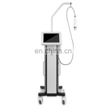 Renlang Hot Sale RF Equipment Model RF Micro Needle Skin Care Vertical Machine To Remove Wrinkle