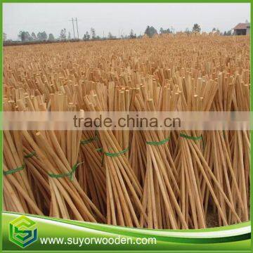 2016 the most popular round natural wooden floor mop stick