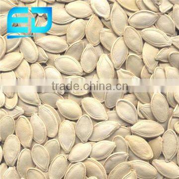 Different Types of Seeds Yellow Pumpkin for Sale, Pumpkin Seeds