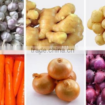 China Garlic of 2016 Crop in Hot Sale