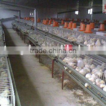 automatic chicken farm Poultry cages for sale