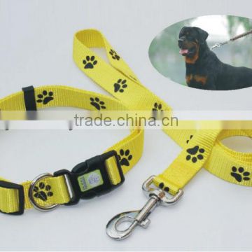 Leash Pet Shock Collar For sell
