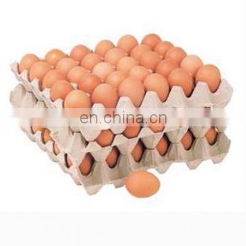 6000 pcs capacity egg tray machine automatic paper egg carton plate making machine with metal drying system