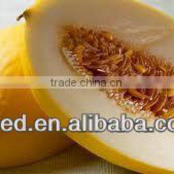 YELLOW CANARY No.2 golden skin and snow-white flesh melon seeds