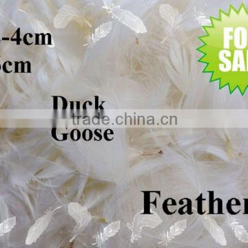 High Quality Duck Feather