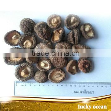 Dried Shiitake Mushroom cut Stem