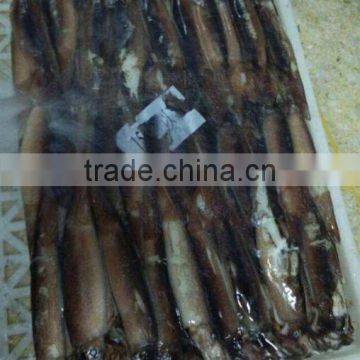 Under 150g Frozen Illex Squid for Sale