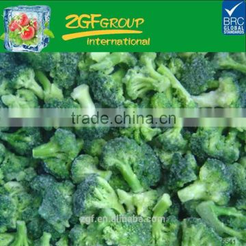 best chinese frozen and iqf broccoli