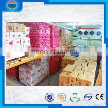 Latest Fashion best quality cold room/cold storage for fruit and meat