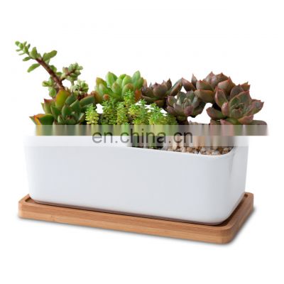 Best Selling Humanoid Succulent Giant White Planter Plant Indoor Drawing Big 1 Pot Ceramic