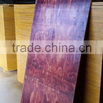 China Eucalyptus Tree Price