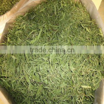 dried/dry Stevia Leaf for extract                        
                                                                                Supplier's Choice