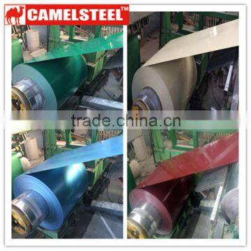 Hot Dipped Galvanized Steel Coil,Pre Painted Galvalume Steel Coils,Galvanized Steel Coil Ppgi