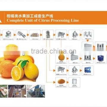 citrus juice processing line orange juice production plant
