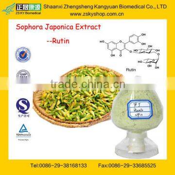GMP Factory Supply Natural Sophora Japonica Extract Powder