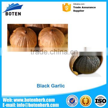 Best price of sell GMP Manufacture fermented black garlic extract Of New Structure