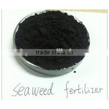 Soluble organic blake Seaweed fertilizer for growth enhancer for plants