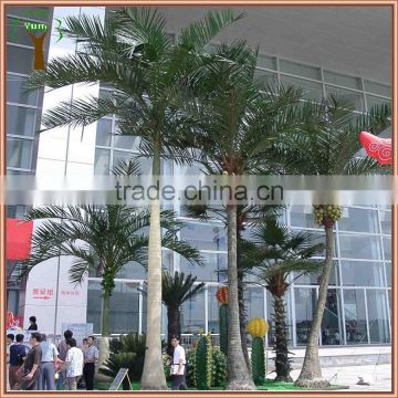 outdoor Hainan coconut palm tree for building landscape decoration