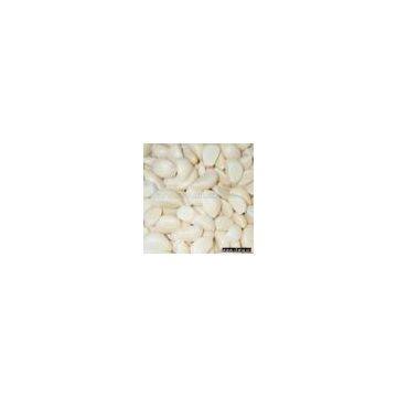 Sell Peeled Garlic Clove