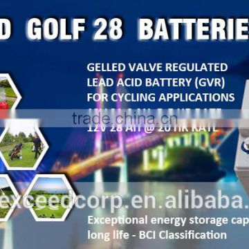 Maintenace free Gelled Valve Regulated Lead acid battery for golf carts